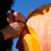 Person's hand gripping an orange and yellow metal object against a clear blue sky