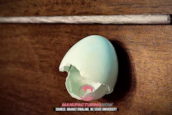 Broken eggshell on wooden surface revealing manufacturing-related graphic inside